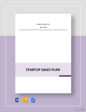 Startup Sales Plan Template