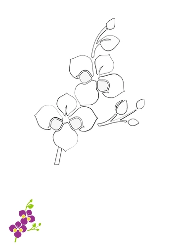 Free Orchid Flowers Coloring Page Template to Edit Online