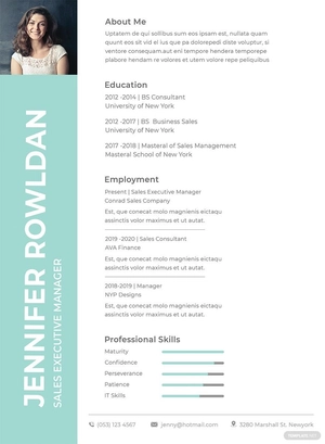 Sales Executive Resume Format