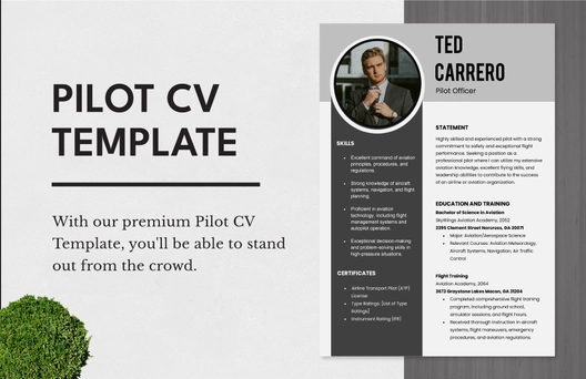 Pilot CV Template