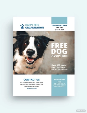 Cute Pet Adoption Bonus Flyer Template