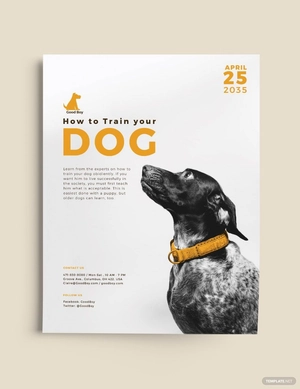 Dog Service Flyer Template