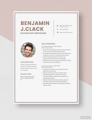 Accounting Professor Resume