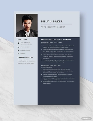 Auto Insurance Agent Resume