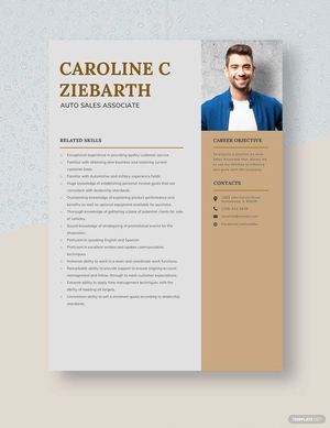 Auto Sales Associate Resume
