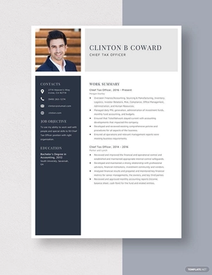 Chief Tax Officer Resume