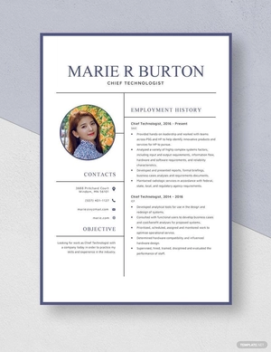 Chief Technologist Resume