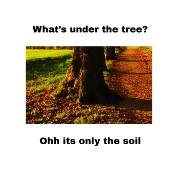 Free Christmas Tree Meme Template to Edit Online