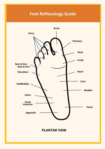 Free 2 Page Reflexology Chart Template to Edit Online