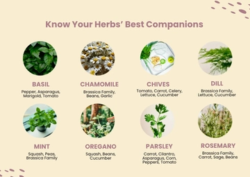 Free Herb Companion Planting Chart Template to Edit Online