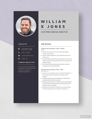 Customer Service Director Resume