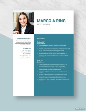 Deputy Manager Resume