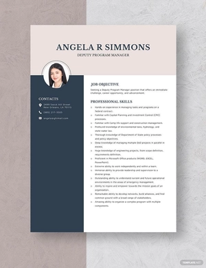 Deputy Program Manager Resume
