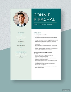 Deputy Project Manager Resume