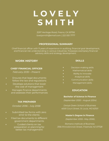 Free Sample Chief Financial Officer Resume Template to Edit Online