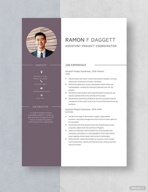 Assistant Project Coordinator Resume