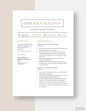 Assistant Project Manager Resume