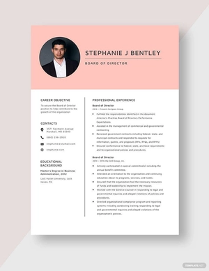 Board of Director Resume