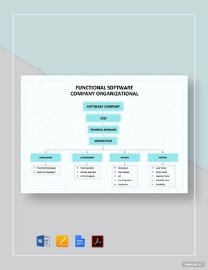 Functional Software Company Organizational Chart Template