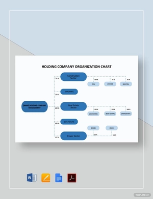 Holding Company Organizational Chart Template
