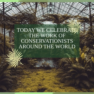 Free World Wildlife Day Instagram Post Template to Edit Online