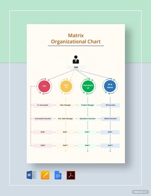 Matrix Organizational Chart Template Matrix Organizational Chart Template