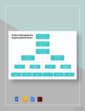 Project Management Organizational Chart Template