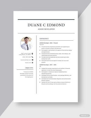 AS400 Developer Resume