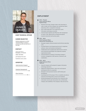 Chief Technical Officer Resume