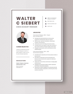 Cisco Account Manager Resume