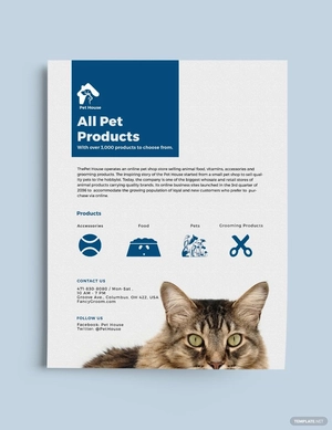 Pet Shop Flyer Template
