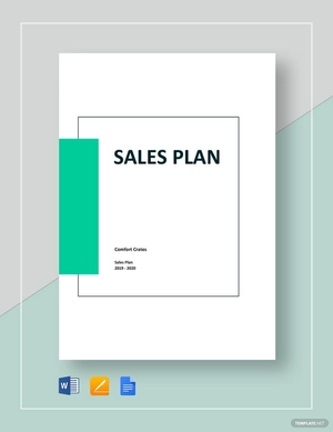Basic Sales Plan