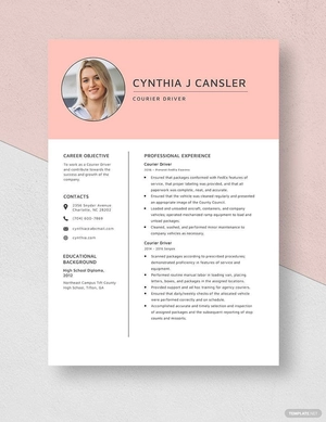 Courier Driver Resume