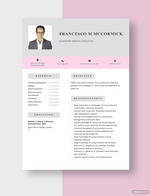 Customer Service Executive Resume