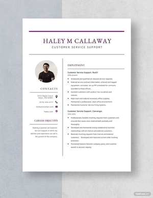 Customer Service Support Resume