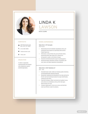 Data Clerk Resume