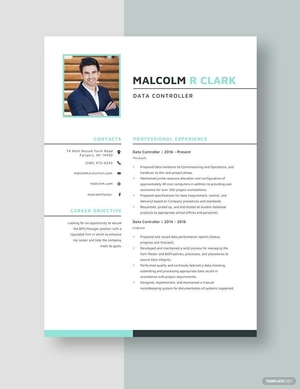 Data Controller Resume