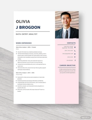 Data Entry Analyst Resume