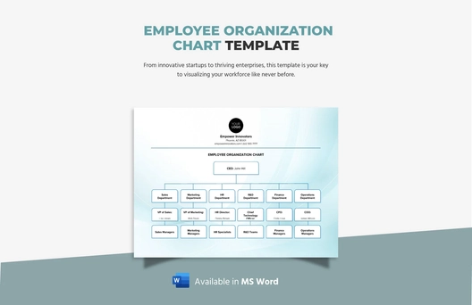 Employee Organization Chart Template
