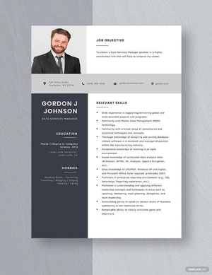 Data Services Manager Resume