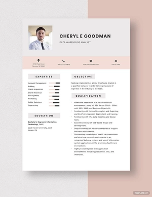Data Warehouse Analyst Resume