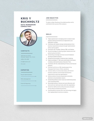 Data Warehouse Consultant Resume
