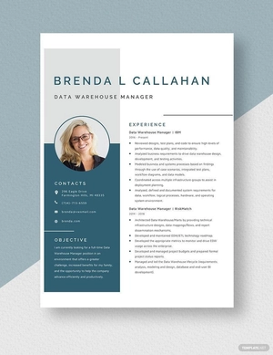 Data Warehouse Manager Resume
