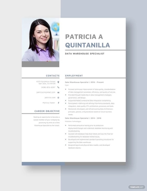 Data Warehouse Specialist Resume
