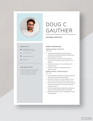 Database Architect Resume