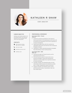 Cost Analyst Resume