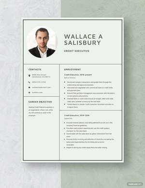 Credit Executive Resume