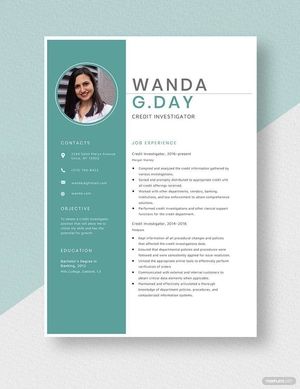 Credit Investigator Resume