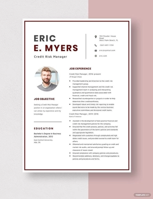 Credit Risk Manager Resume