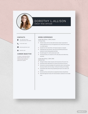 Credit Risk Officer Resume